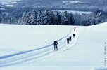 Craftsbury Marathon 2001 
(61K)